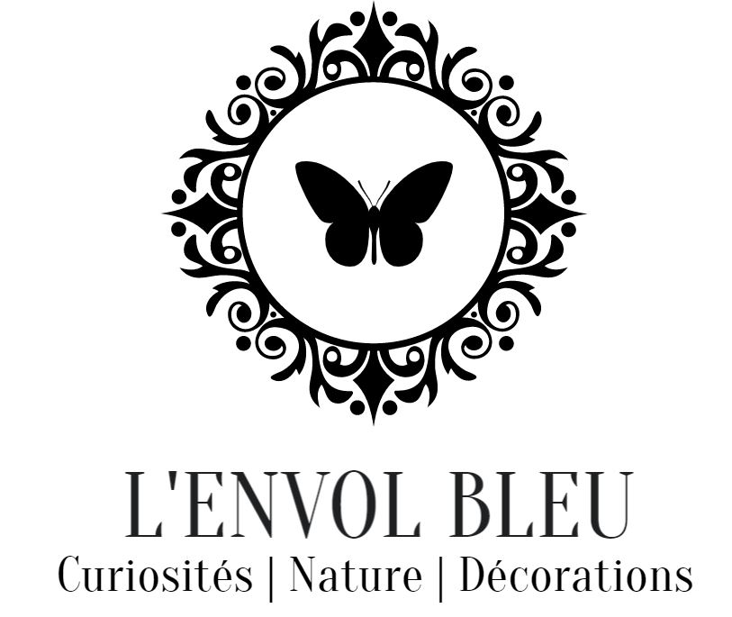 L'Envol Bleu
