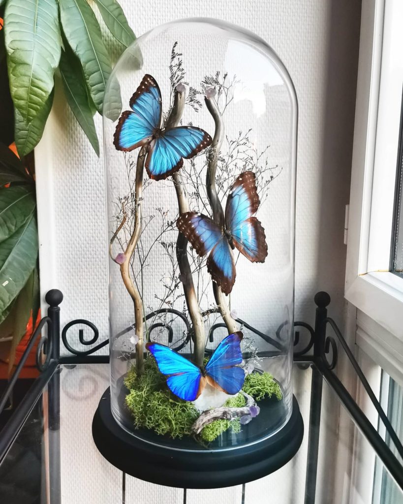 Grand Globe 42cm